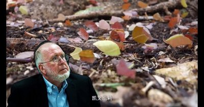 ​《失控》：机器、社会与经济的新生物学#好书分享