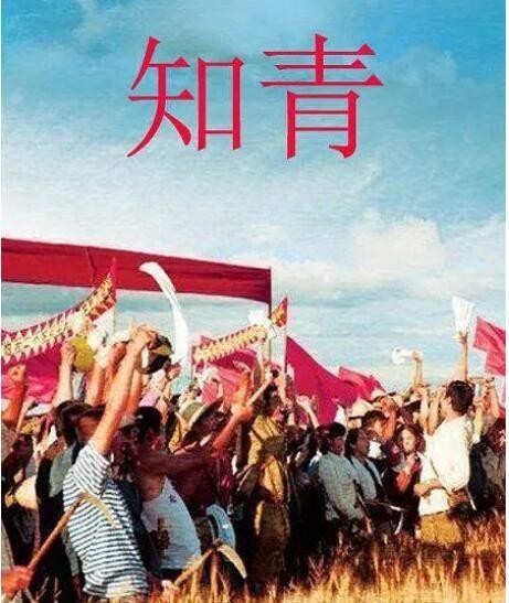100部知青电视剧大全(盘点知青题材电视剧)