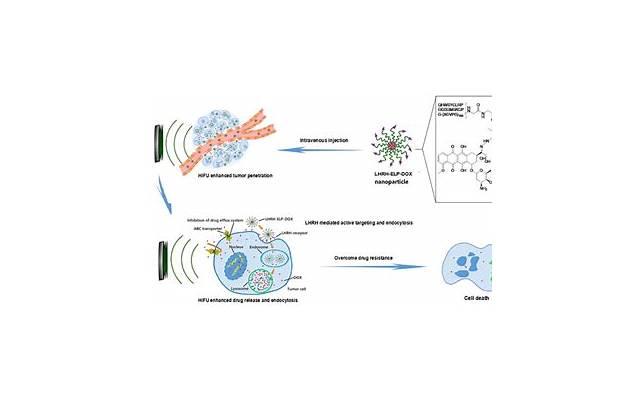 焦虑症的解药，就是你自己