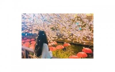 ​李连杰女儿李思（李连杰利智的女儿们读美国名校）