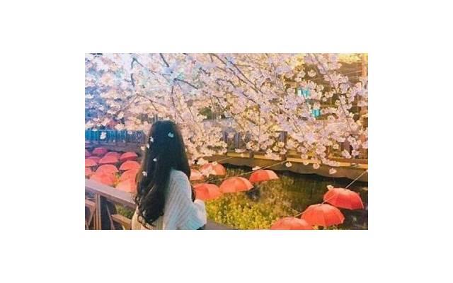 李连杰女儿李思（李连杰利智的女儿们读美国名校）