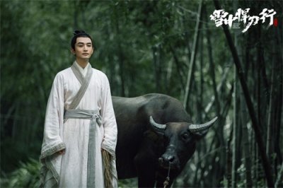 《雪中悍刀行》洪洗象结局:兵解再转世,送徐脂虎骑鹤飞升!