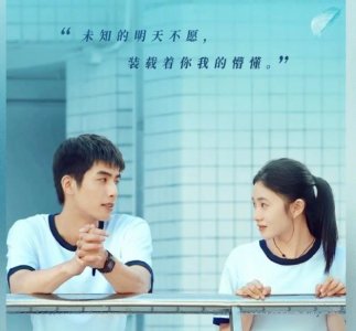 《念念相忘》影评观后感 《念念相忘》评价怎么样