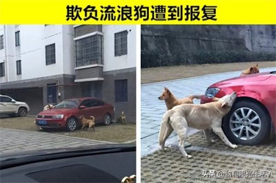 ​因果报应！由于做了坏事，结果导致受到相应惩罚的7个人