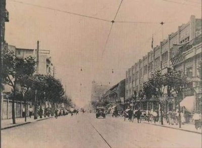 ​上海满街法国梧桐里……长满了冷知识