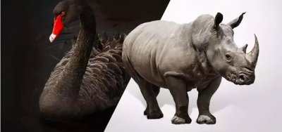 ​“黑天鹅”与“灰犀牛”