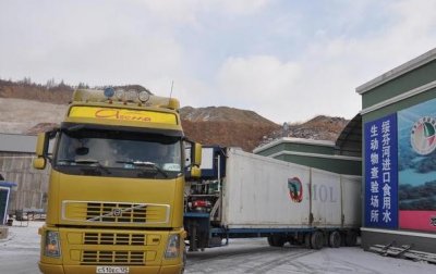 ​绥芬河口岸首次进口俄罗斯鲜活海参