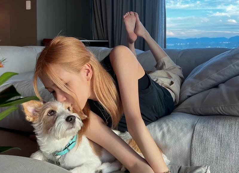 婆婆发现儿媳偷人，儿媳：你天天喊着要抱孙子，我也是被逼无奈