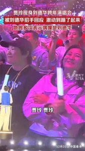 ​贾玲现身刘德华演唱会，实力“追星”引热议！