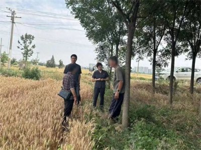 ​西安临潼法院丨大槐树下法理交融巧解相邻权纠纷