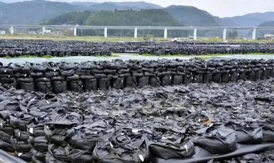 ​韩国泄漏29吨核废液，比日本的核废水“毒”得多！对我国危害多大