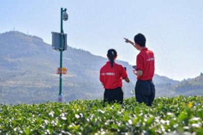 ​5G赋能 扬帆升级|一杯奶茶的“5G”含量有多少？