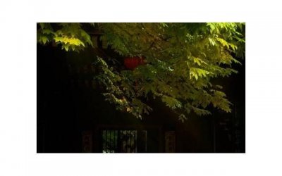 ​女孩最易动心的21个时刻