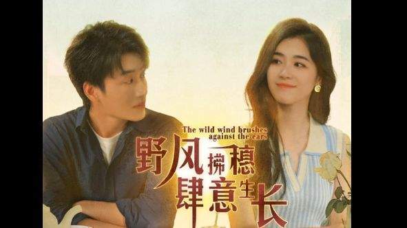 短剧《野风拂穗肆生长》讲了什么,精彩剧情介绍