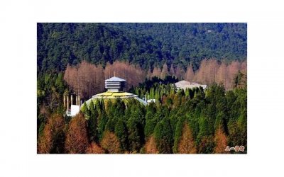 ​白云山金戈正式上市一粒48元
