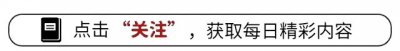 ​内娱叔圈10人天菜天团：从路人甲到全民追捧，撑起娱乐圈半壁江山
