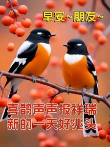 ​新年好！春去花还在，人来鸟不惊，祝福图。歇后语真有趣。