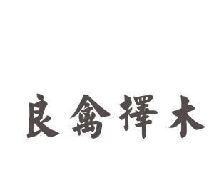 择木而栖,与择木而栖相匹配的网名?图4