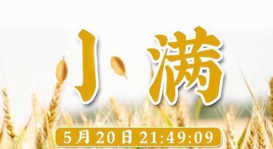 关于小满的人生哲理,小满的道理是什么?图5