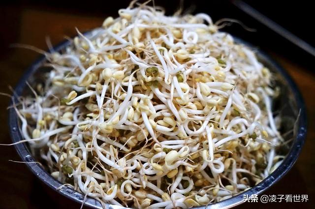 发豆芽方法与步骤(教你一分钟学会发豆芽)(1)