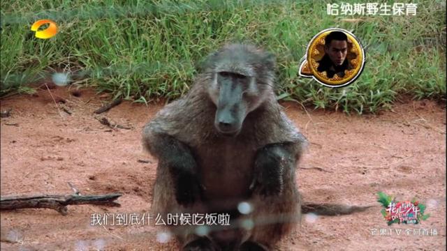 陈柏霖最新电影消息(从花少流放者到睡着的王子)(25)