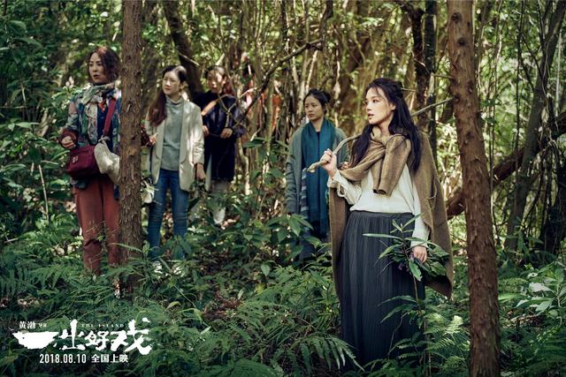 爱情公寓大电影票房能过50亿吗(爱情公寓预售就破亿了)(3)