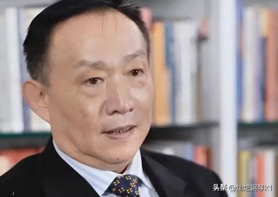 ​批判性思维看待卢麒元的主要观点及风险