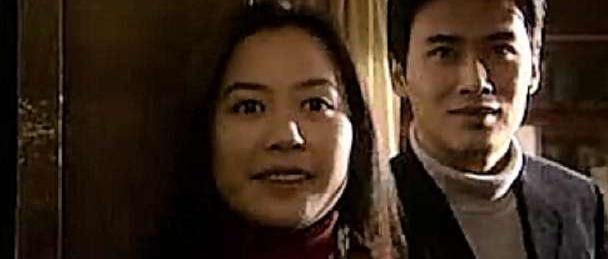 柳云龙主演谍战的电视剧大全(柳云龙出演的各类型电视剧作品)(19)