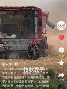 ​山东麦田起火原因曝光，抢收小伙是00后，看到收割机网友不淡定了