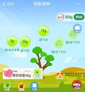 ​马云斥巨资在沙漠里种树，承诺每年1亿棵，9年过去了，树怎样了