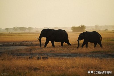 ​懂人性更要利用人性，人一旦开窍赚钱就是很快的事