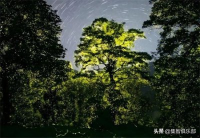 ​惠更斯及其同步现象研究丨陈关荣