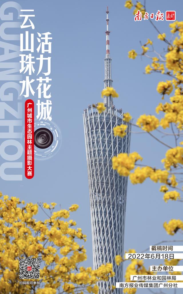 五月的花海摄影比赛(这场摄影大赛邀你拍花城四季之美)(2)