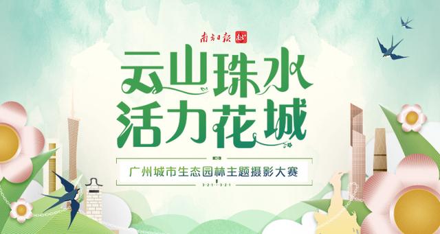 五月的花海摄影比赛(这场摄影大赛邀你拍花城四季之美)(1)