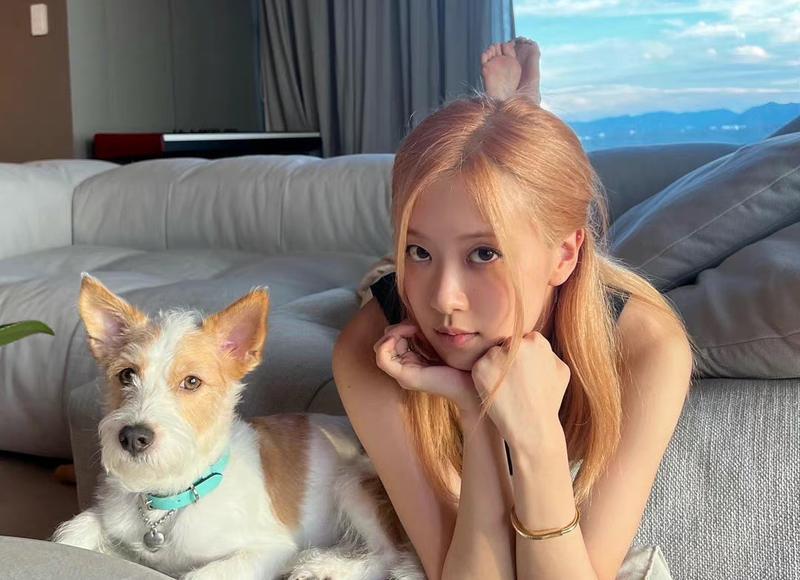 性爱疼痛的原因有什么? 性爱疼痛的原因有什么?
