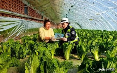 ​【护农保春耕】齐齐哈尔公安交警进村屯 平安守护伴农时
